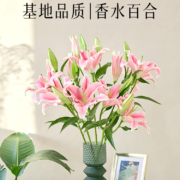 花点时间 香水百合鲜花10支