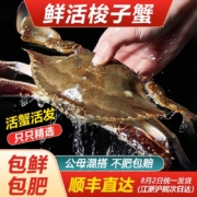 鲜仁源  新鲜海捕梭子蟹 3斤 多规格
