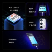 realme真我GT Neo2T天玑1200-AI 65W智慧闪充4500mAh大电池全网通5G手机 12GB+256GB 墨黑 官方标配