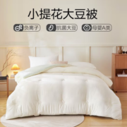 YANXUAN 网易严选 柔软抗菌小提花大豆夏凉被 海盐灰 150*200cm