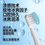 重点 18h清新口气美白亮白牙齿口腔清洁牙膏 极地光感净澈牙膏 100g*3支