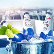 Kronenbourg 1664凯旋 原装进口1664克伦堡凯旋小麦精酿白啤酒 330ml*24瓶