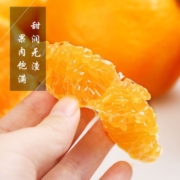 橘子 四川柑橘 春见耙耙柑 净重5斤（单果70mm+）