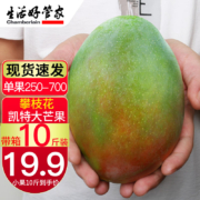 京喜特价：生活＆好管家 四川凯特芒果现摘整箱 中果5斤(250-300g/个)