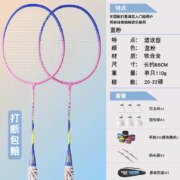 佑游 羽毛球拍2支 送羽毛球*6+手胶*2++拍头贴*2+拍包