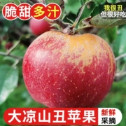京东百亿补贴：探味君 凉山盐源丑苹果 整箱 5斤 小果（60mm-65mm）