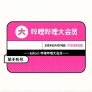 bilibili 哔哩哔哩 大会员 年卡 12个月