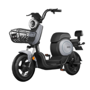 京东百亿补贴：宝岛 电动车自行车Q3 48V30A锂电