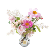 花点时间鲜花速递同城多头玫瑰百合菊花混合隔周一花室内植物花卉