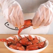 Lois 洛伊丝 食品专用一次性手套 100只