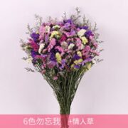CAITI 采缇 6色勿忘我+情人草干花花束 2斤