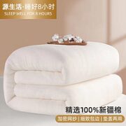 OBXO 源生活 100%长绒棉棉花夏被 150*200cm 3斤