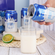 西域春奶啤300ml*12/24罐装整箱新疆特产奶啤啤酒饮料乳酸菌饮品