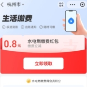 支付宝 生活缴费 部分用户 立减红包 wzl