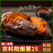 万果薯道 山东烟薯25号蜜薯农科院糖心红薯 3斤