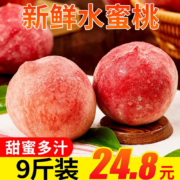 京愿 新鲜水蜜桃 9斤装