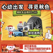 京东车品  爆款车品限时9.9元