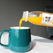Hidolly 百多利 沙棘果汁饮料 280ml*8瓶