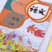 慢作 1210 透明书套 大10中20小10 40张装
