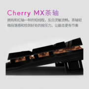 外星人（Alienware）电竞游戏机械键盘cherry茶轴樱桃USB外接高端外设RGB有线 AW410K黑