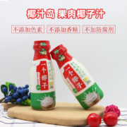 椰汁岛 一个椰子 生榨果肉椰子汁植物蛋白饮料230mL*10瓶
