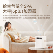 大宇（DAEWOO）加湿器大容量上加水空气净化无雾家用轻音音卧室孕妇婴儿杀菌纯净型加湿  J6 plus白色