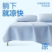 YANXUAN 网易严选 A类抗菌防滑凉席 蓝色*床单款 120*200cm