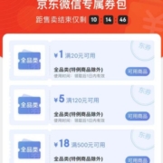 京东 省多多膨胀券包 0.1元抢33元全品券包
