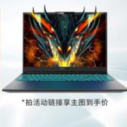 京东百亿补贴：MECHREVO 机械革命游戏本 蛟龙16QS RTX-4060