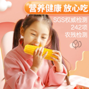 东北农嫂 23年新货 真空黄糯玉米 200g*8支