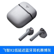 飞智银狐X1游戏蓝牙耳机真无线运动电竞低延迟降噪通话立体声音乐手游耳麦苹果iphone手机通用 X1蓝牙耳机 赛博灰