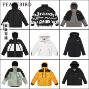 太平鸟男装 90鹅绒 GORE-TEX INF工装羽绒服 多色