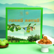 溜溜梅 青梅好味到礼盒 440g*2件（赠摩天轮周边）