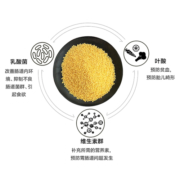 信元发育宝犬用整肠配方营养品狗狗幼犬钙胃能肠胃宝维生素350g