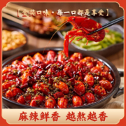 厨邦 金奖麻辣/蒜蓉等多口味小龙虾调料 200g*2袋