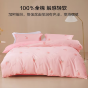 BLISS 百丽丝 纯棉四件套 清新系列 1.5米床