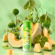 yili 伊利 安慕希AMX新疆哈密瓜酸奶 230g*5瓶