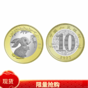 兔年生肖纪念币 2023年 兔年二轮生肖贺岁 10元纪念币 兔单枚