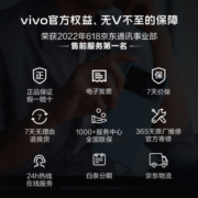 vivo S15e 12GB+256GB 冰晶蓝 5nm高跑分芯片 66W超级闪充 5000万超质感人像 5G 快充 拍照 手机