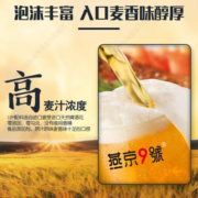 燕京9号 原浆白啤酒 12度啤酒 精酿啤酒 燕京9号 726ml*6瓶