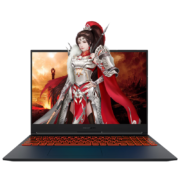 京东百亿补贴：机械革命 旷世G16 i5-12450H满功耗4060-8G 16G|512GPCIE 2.5K高刷屏 16英寸屏