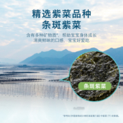禾泱泱椰仁海苔脆片 儿童零食 甄选海味非油炸  便携袋装22g