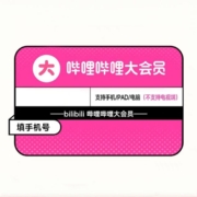 bilibili 哔哩哔哩 大会员年卡 12个月