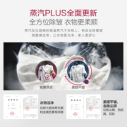 LG 11.2KG滚筒洗+2KG波轮洗衣机全自动 蒸汽PLUS除菌除皱 速净喷淋大容量 母婴双擎分区洗衣机 碳晶银FG13TVW