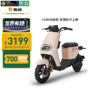 雅迪电动车新款DE2新国标电动自行车长续航电瓶车 DE2炫彩版/48V24AH锂电池