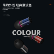 FINAL E1000 便携入耳式耳机 无损音乐耳机耳塞 潮流耳机 黑色