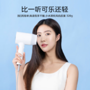 Midea 美的 MB-AJ0501 负离子电吹风 1600W