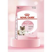 ROYAL CANIN 皇家 88会员BK34幼猫猫粮 10kg