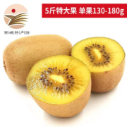静益乐源 黄心猕猴桃 5斤特大果单果130-180g