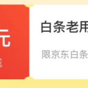 京东 白条老用户 领取1元无门槛立减券